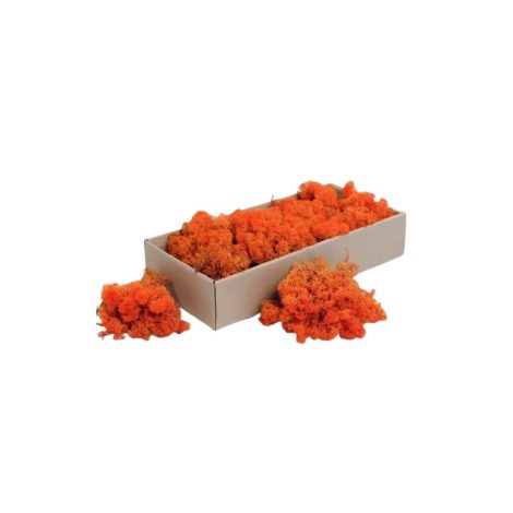 licheni-decorativi-portocalii-13774-4 (1)