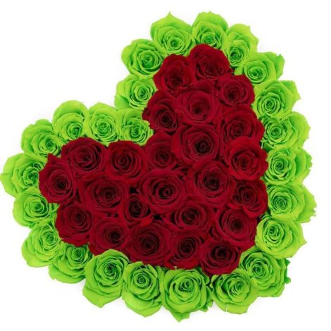 roses-that-last-a-year-love-heart-rose-box-red-green-1_1400x